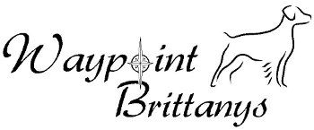 Waypoint Brittanys