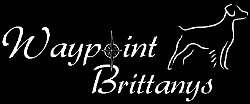Waypoint Brittanys