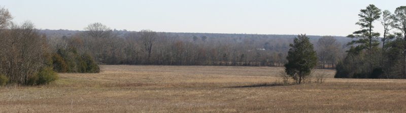 View Of the Grounds